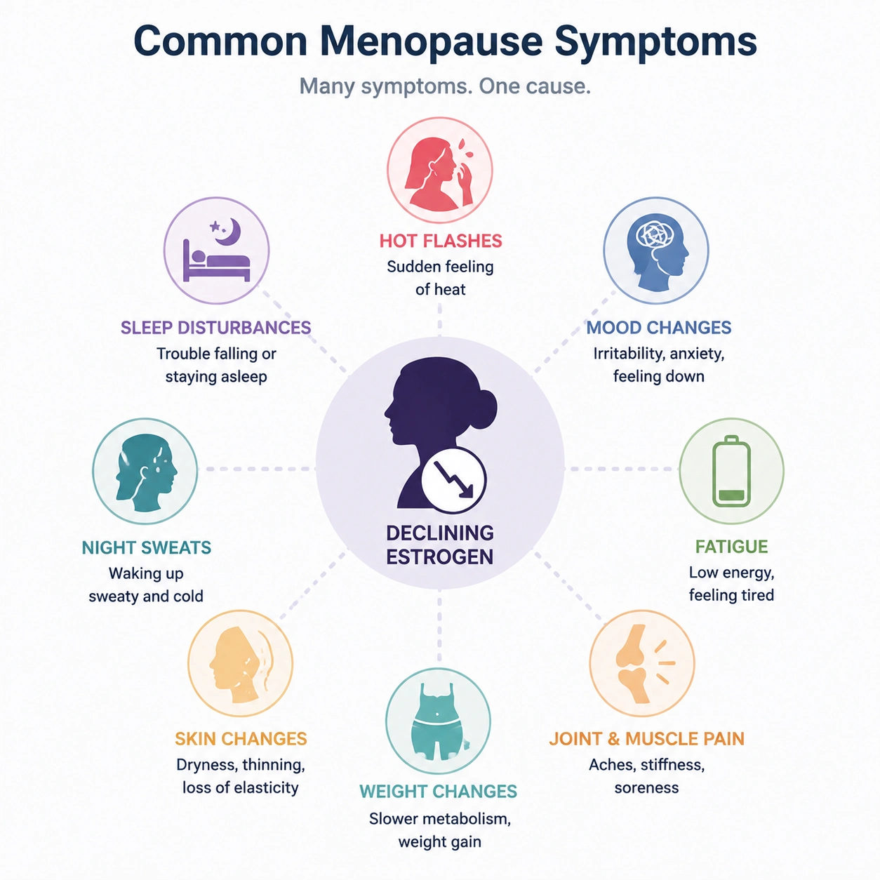 Common Menopause Symptoms Infographic